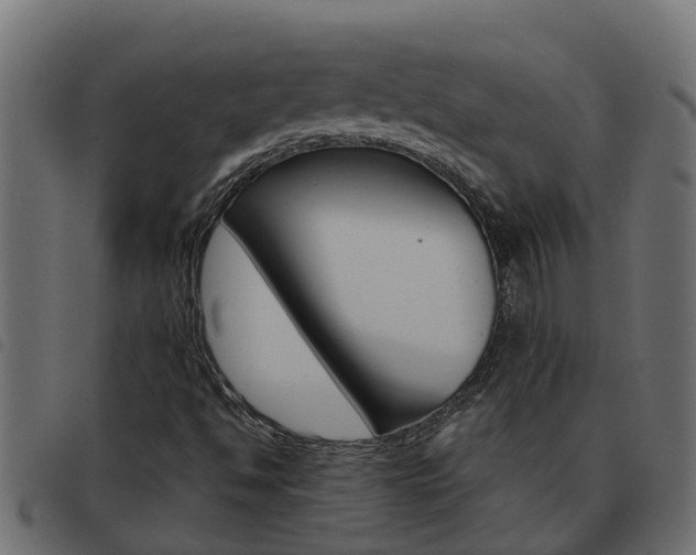 X0000093591494200710151007