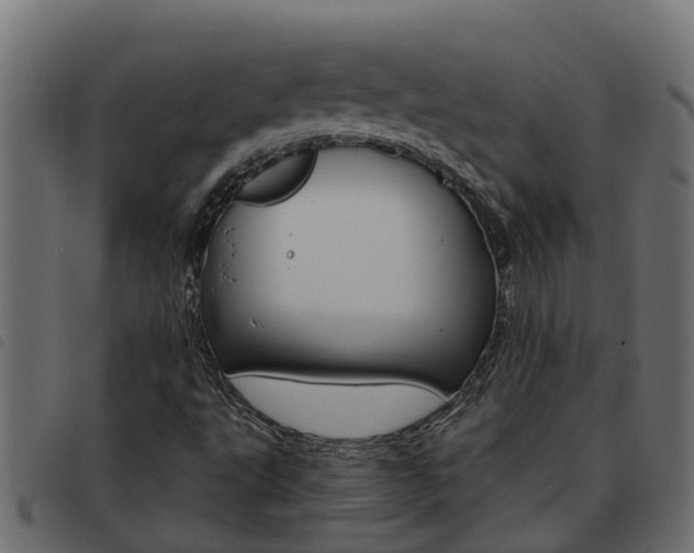 X0000093591495200710151007