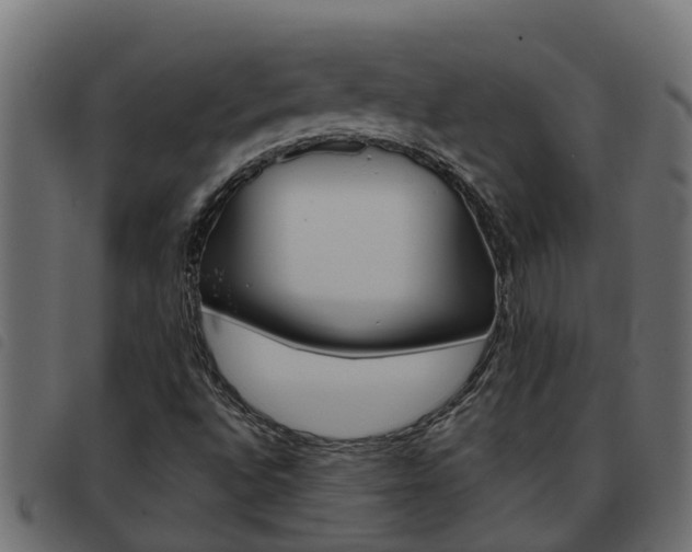 X0000093591496200710151007