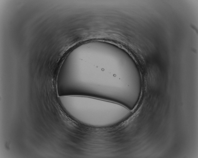 X0000093591497200710151007