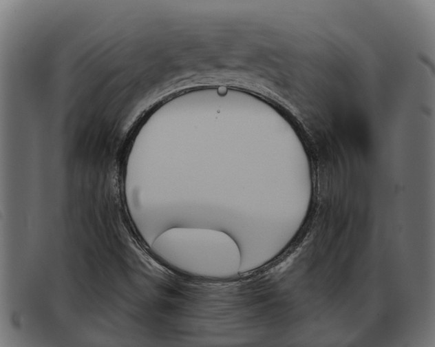 X0000093591498200710151007