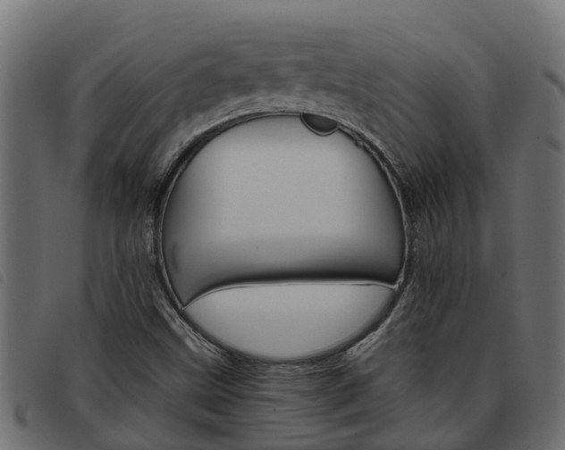 X0000093591499200710151007