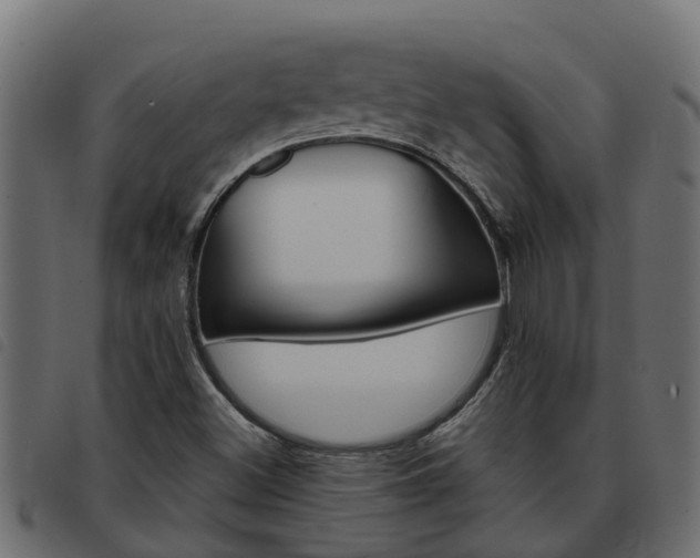 X0000093591500200710151007