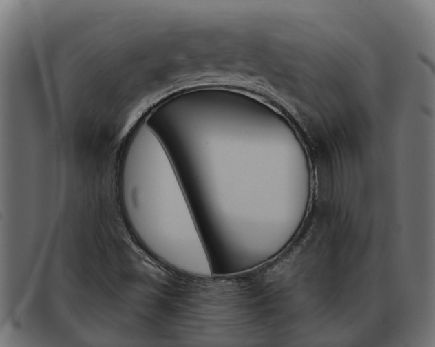 X0000093591501200710151007