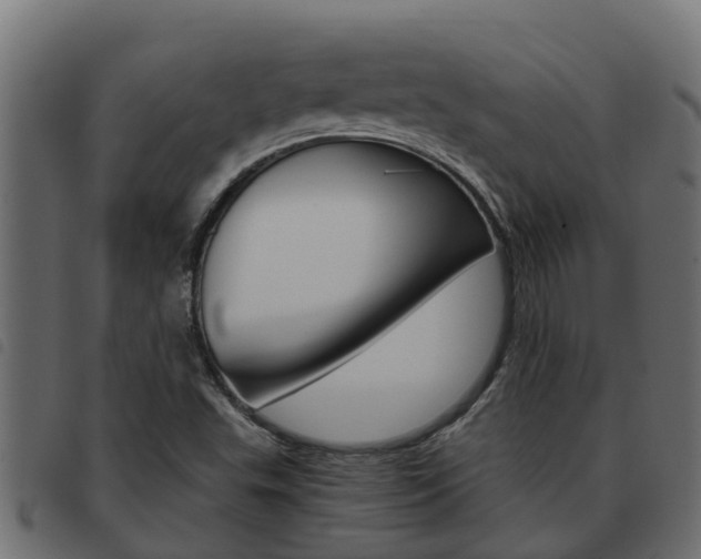 X0000093591503200710151007