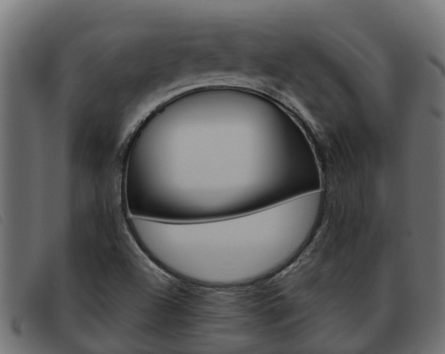 X0000093591504200710151007