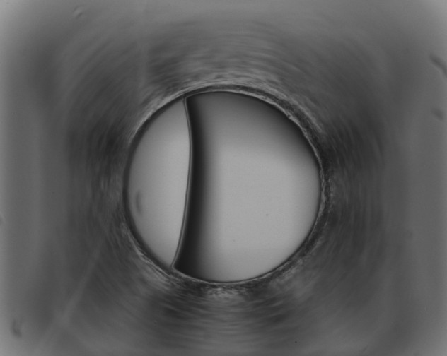 X0000093591505200710151007