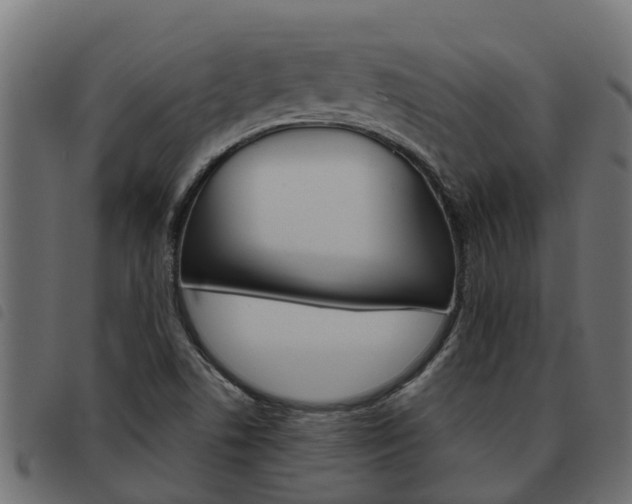 X0000093591506200710151007