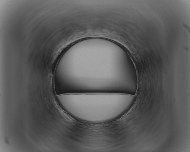 X0000093591507200710151007