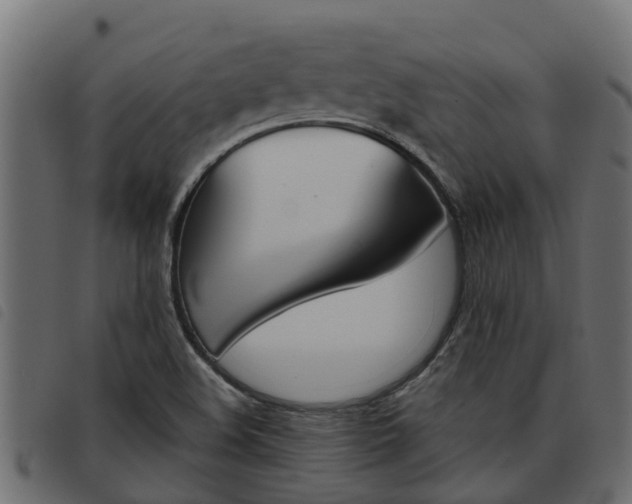 X0000093591508200710151007