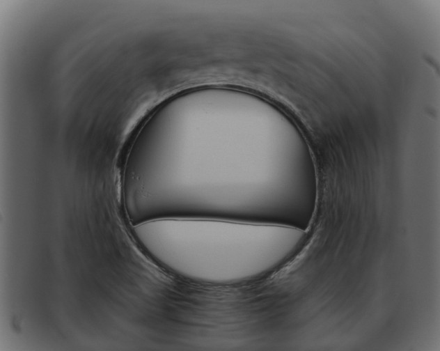 X0000093591509200710151007