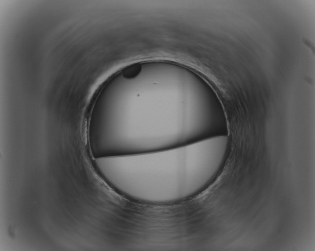 X0000093591510200710151007