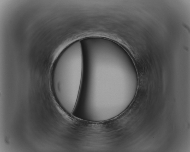 X0000093591511200710151007
