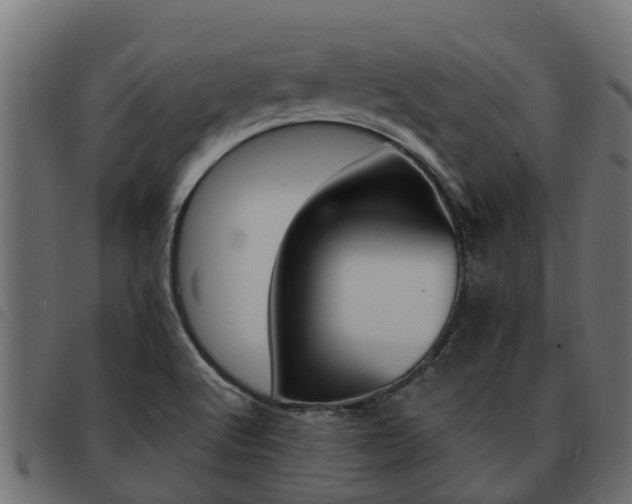 X0000093591512200710151007
