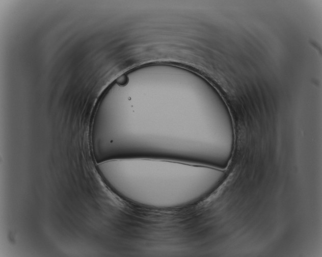 X0000093591513200710151007