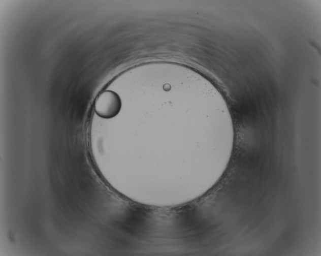 X0000093591514200710151007