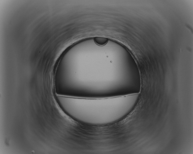X0000093591515200710151007