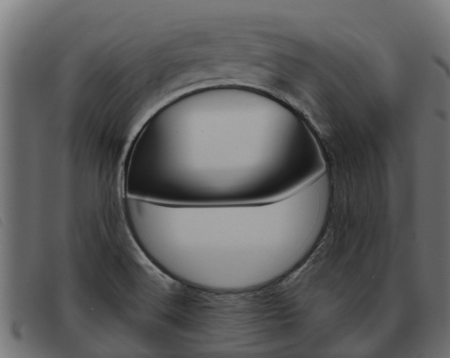 X0000093591516200710151007