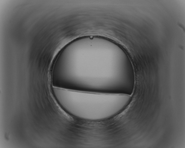 X0000093591517200710151007