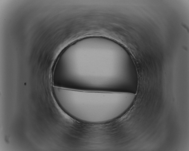 X0000093591519200710151007