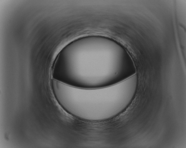 X0000093591520200710151007