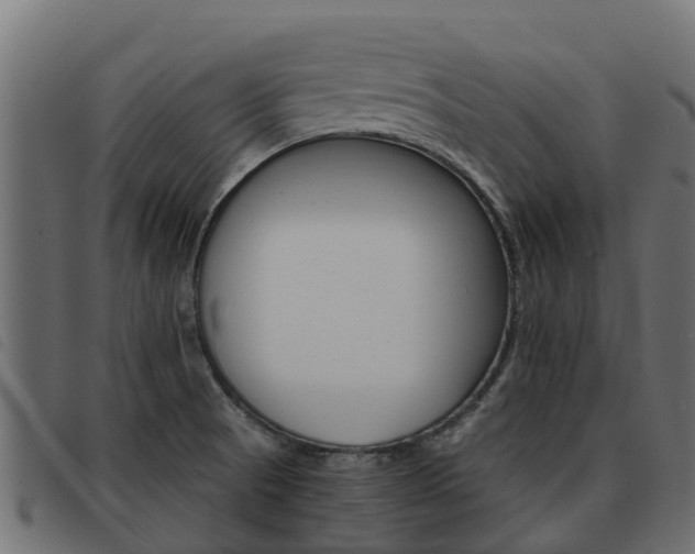X0000093591521200710151007