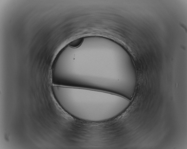 X0000093591522200710151007
