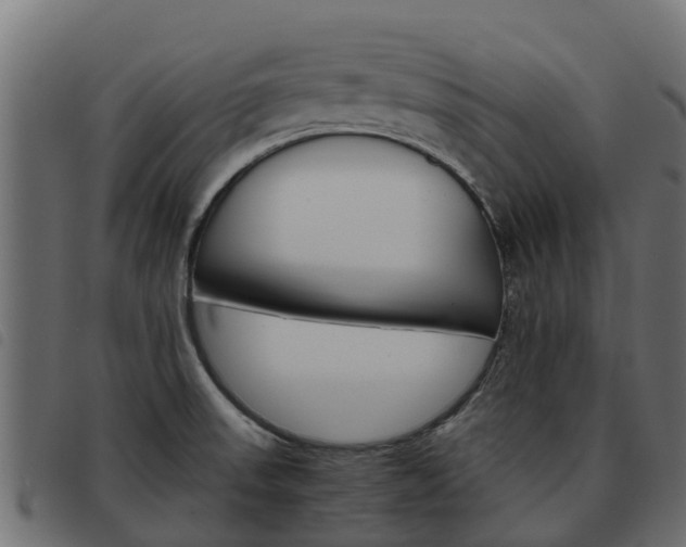 X0000093591523200710151007