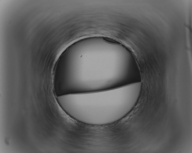 X0000093591524200710151007