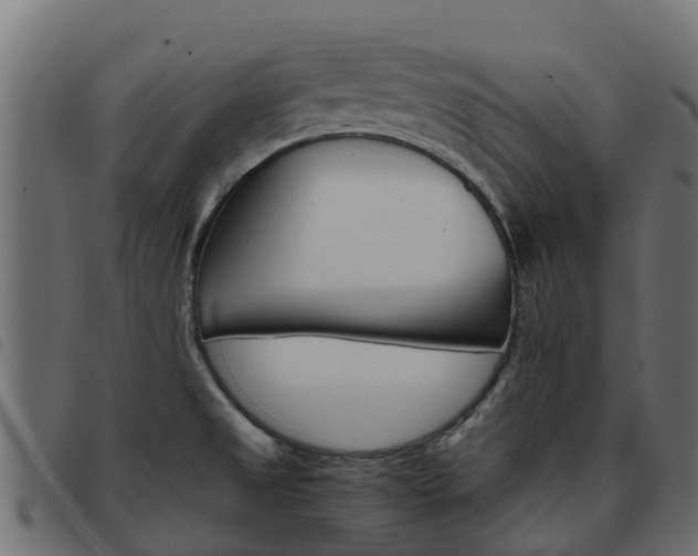 X0000093591525200710151007