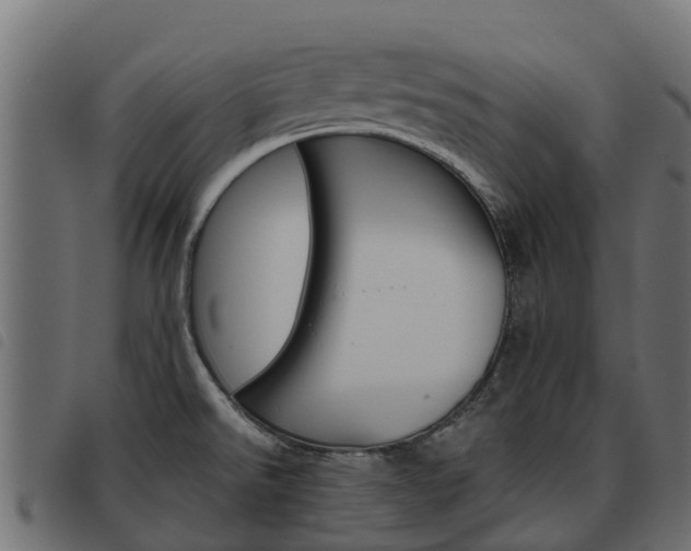 X0000093591526200710151007