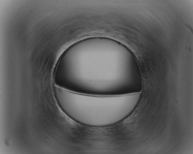 X0000093591527200710151007