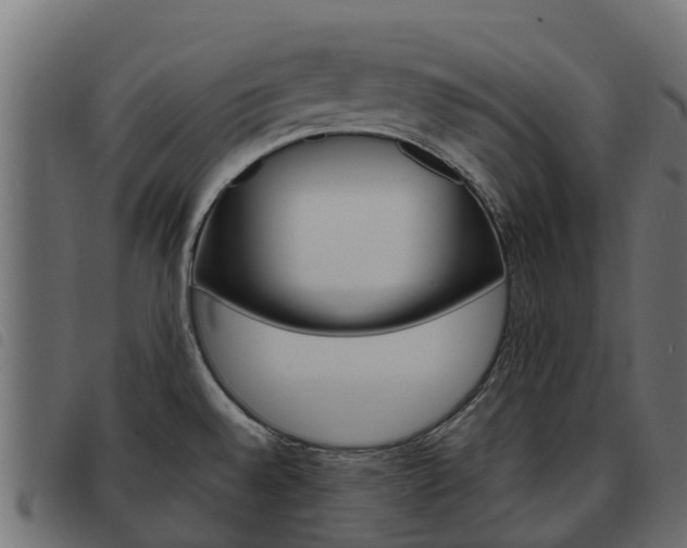 X0000093591528200710151007