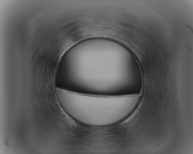 X0000093591529200710151007