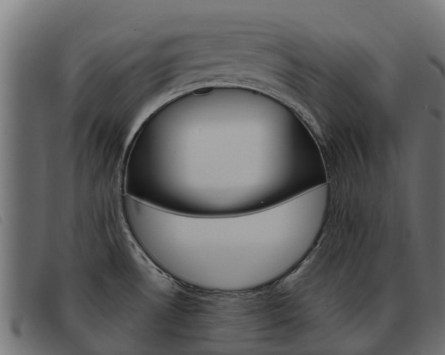 X0000093591530200710151007