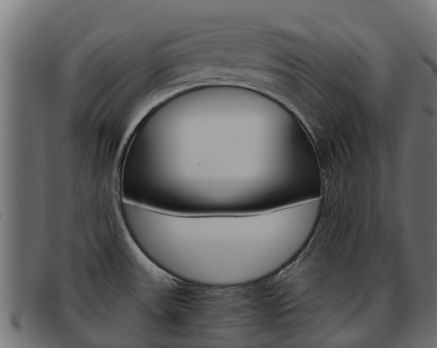X0000093591531200710151007
