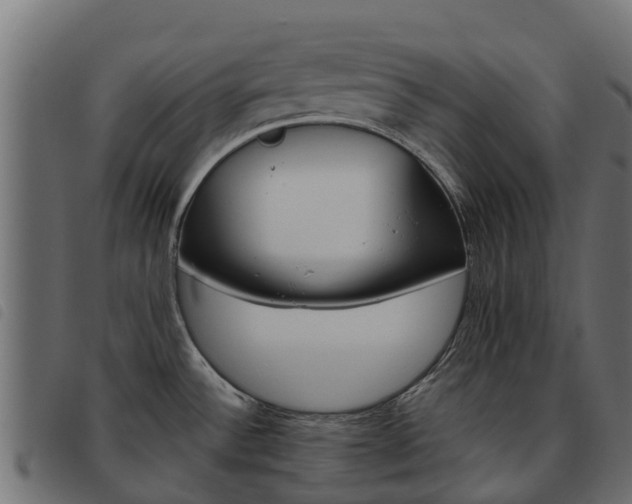 X0000093591532200710151007