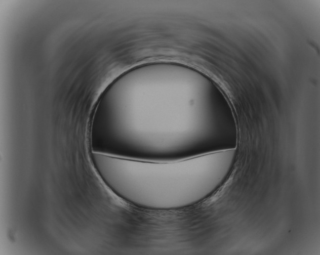 X0000093591533200710151007