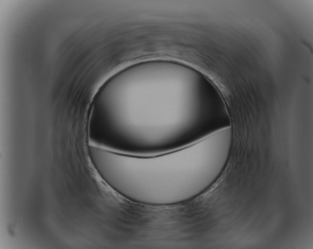 X0000093591534200710151007