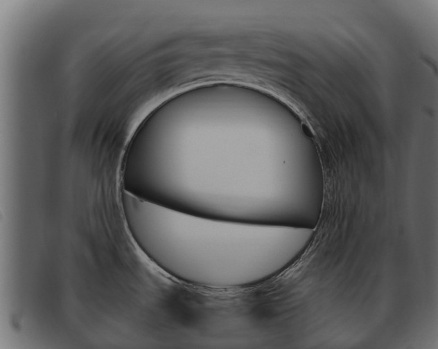 X0000093591535200710151007