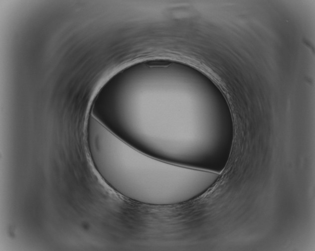 X0000093591536200710151007