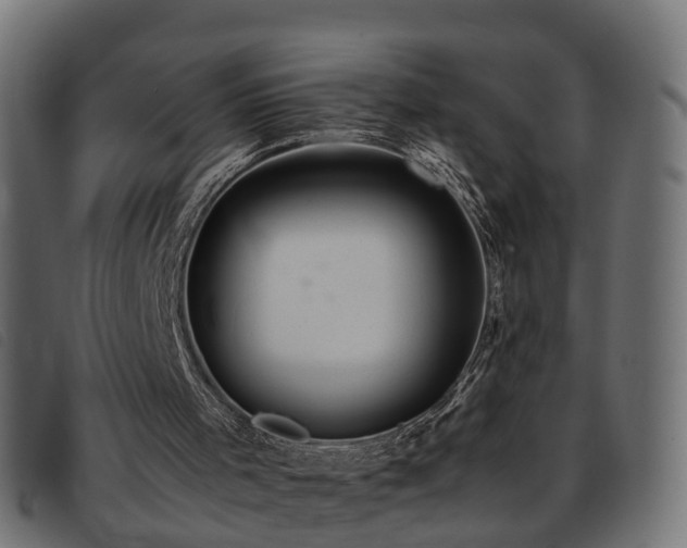 X0000093590001200710151213