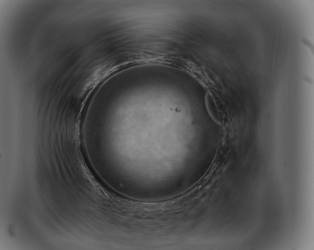 X0000093590002200710151213