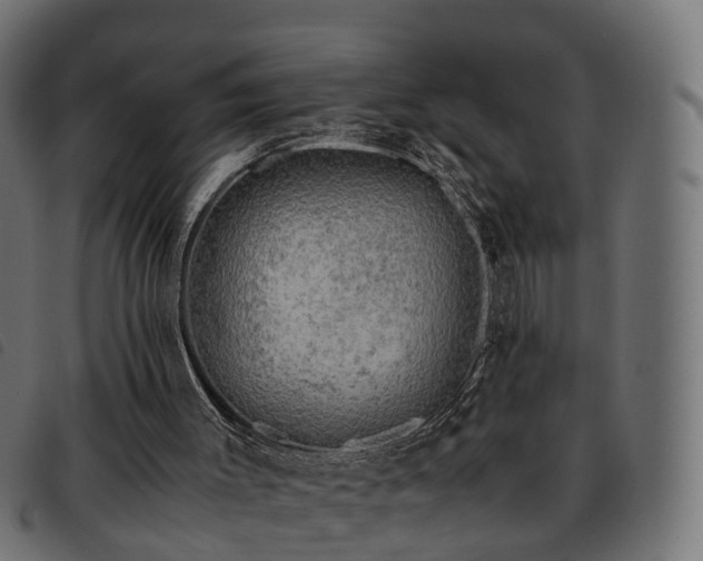 X0000093590003200710151213
