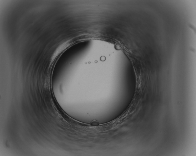 X0000093590004200710151213