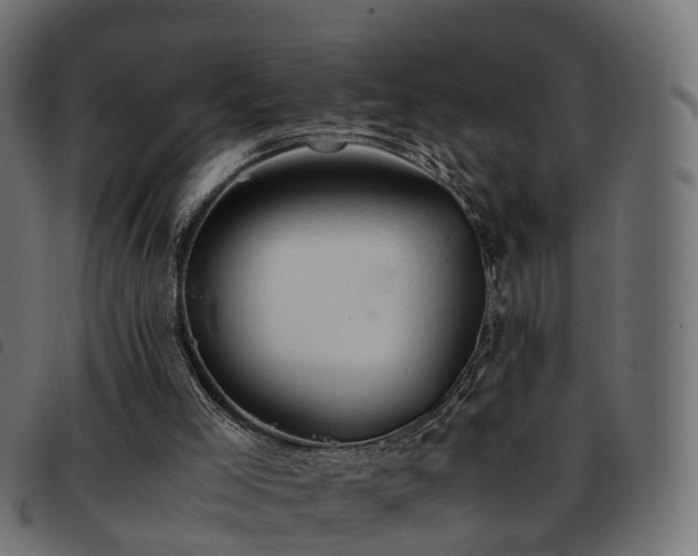 X0000093590005200710151213