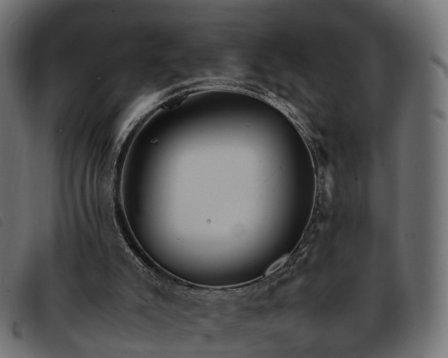 X0000093590007200710151213