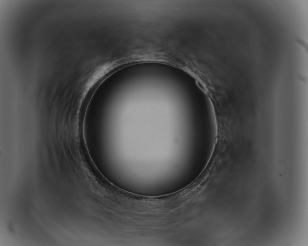 X0000093590008200710151213