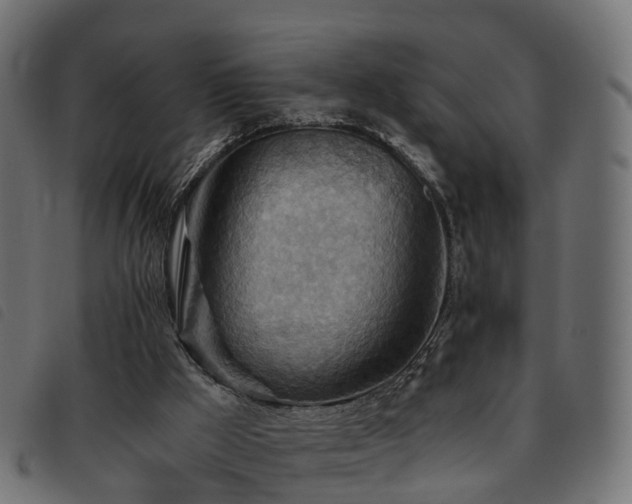 X0000093590009200710151213