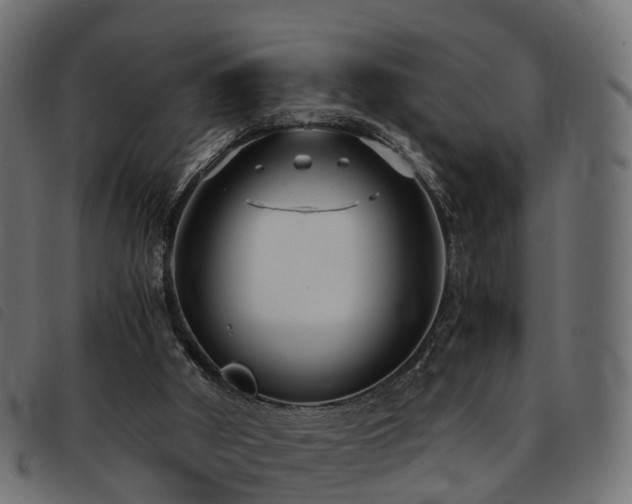 X0000093590010200710151213